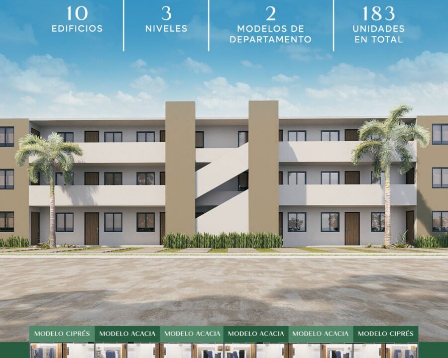 WhatsApp Image 2025-10-17 at 1.01.04 PM