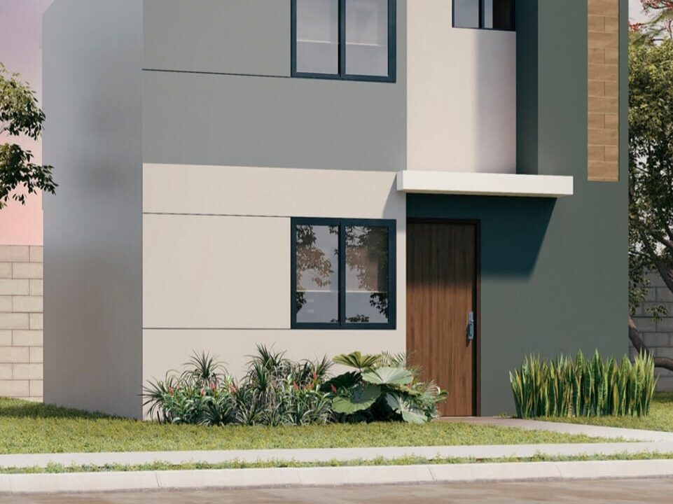 WhatsApp Image 2025-10-17 at 2.36.40 PM